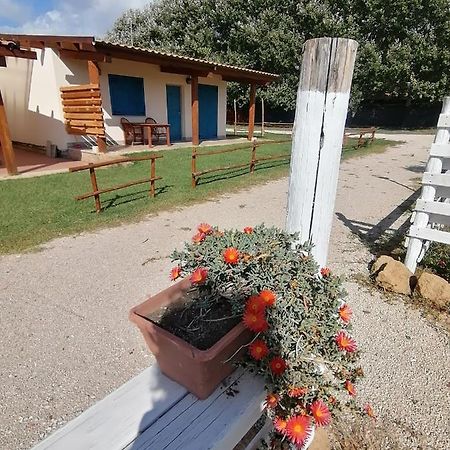 Agriturismo Oca Giuliva Lido dei Pini Zewnętrze zdjęcie